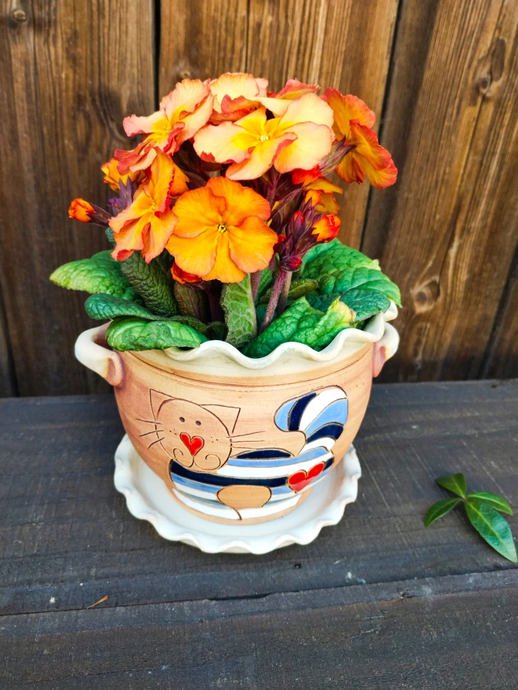 KVĚTINÁČ s podmiskou KOČKA MODRÁ