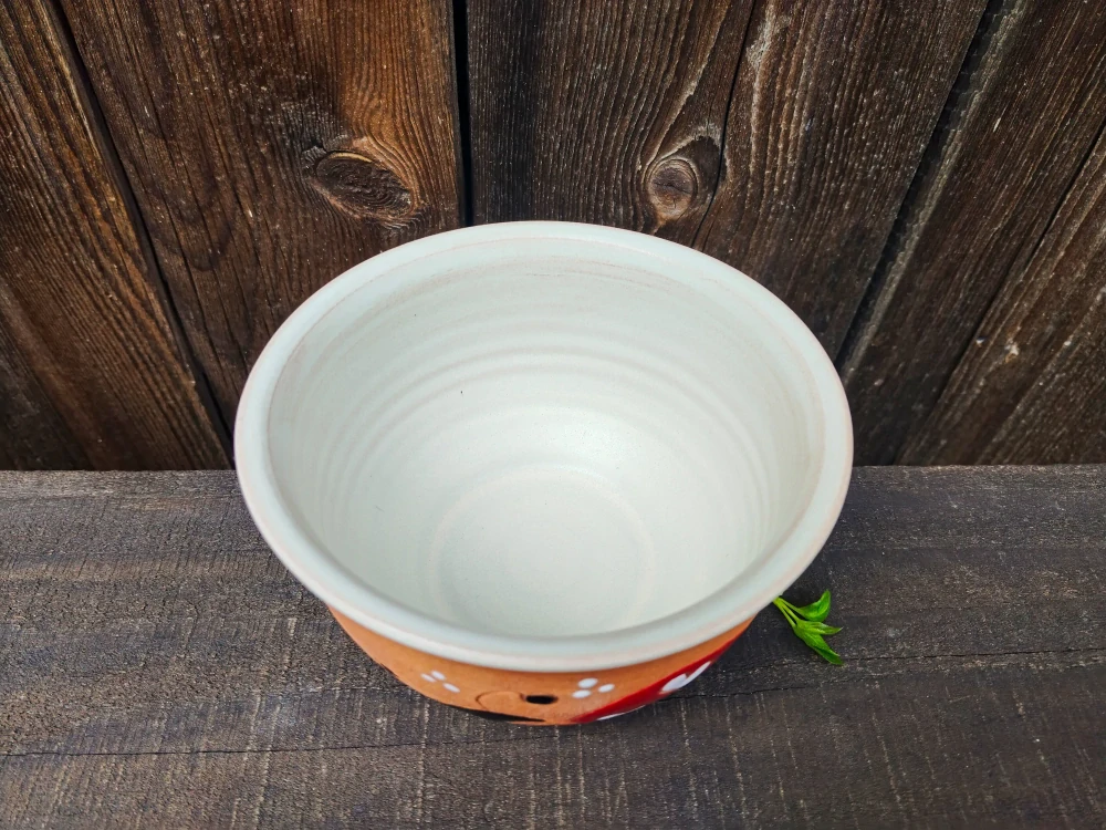 MISKA  bez oušek beruška