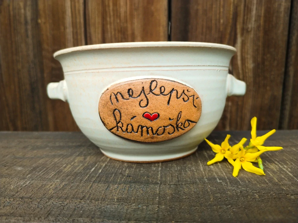 MISKA KÁMOŠKA 500ml S OUŠKY 