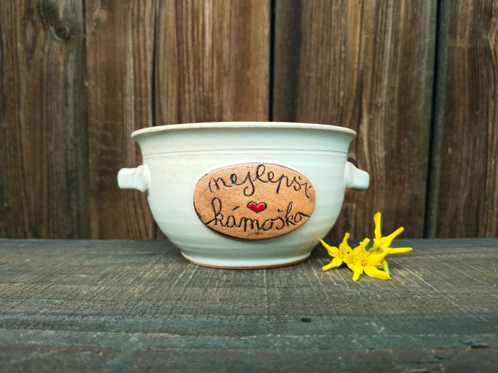 MISKA KÁMOŠKA 500ml S OUŠKY 